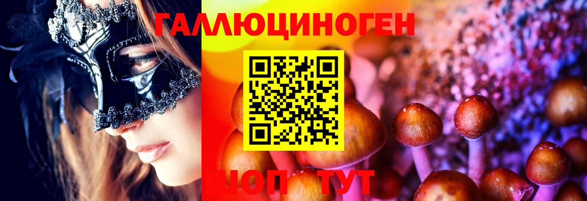Галлюциногенные грибы GOLDEN TEACHER  Вход с VPN  Псилоцибиновые грибы Cubensis  Шумерля 